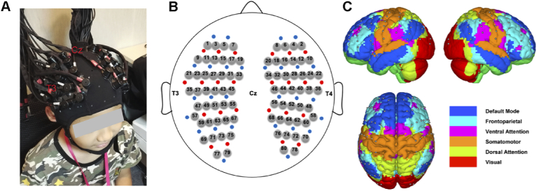 Fig. 1.