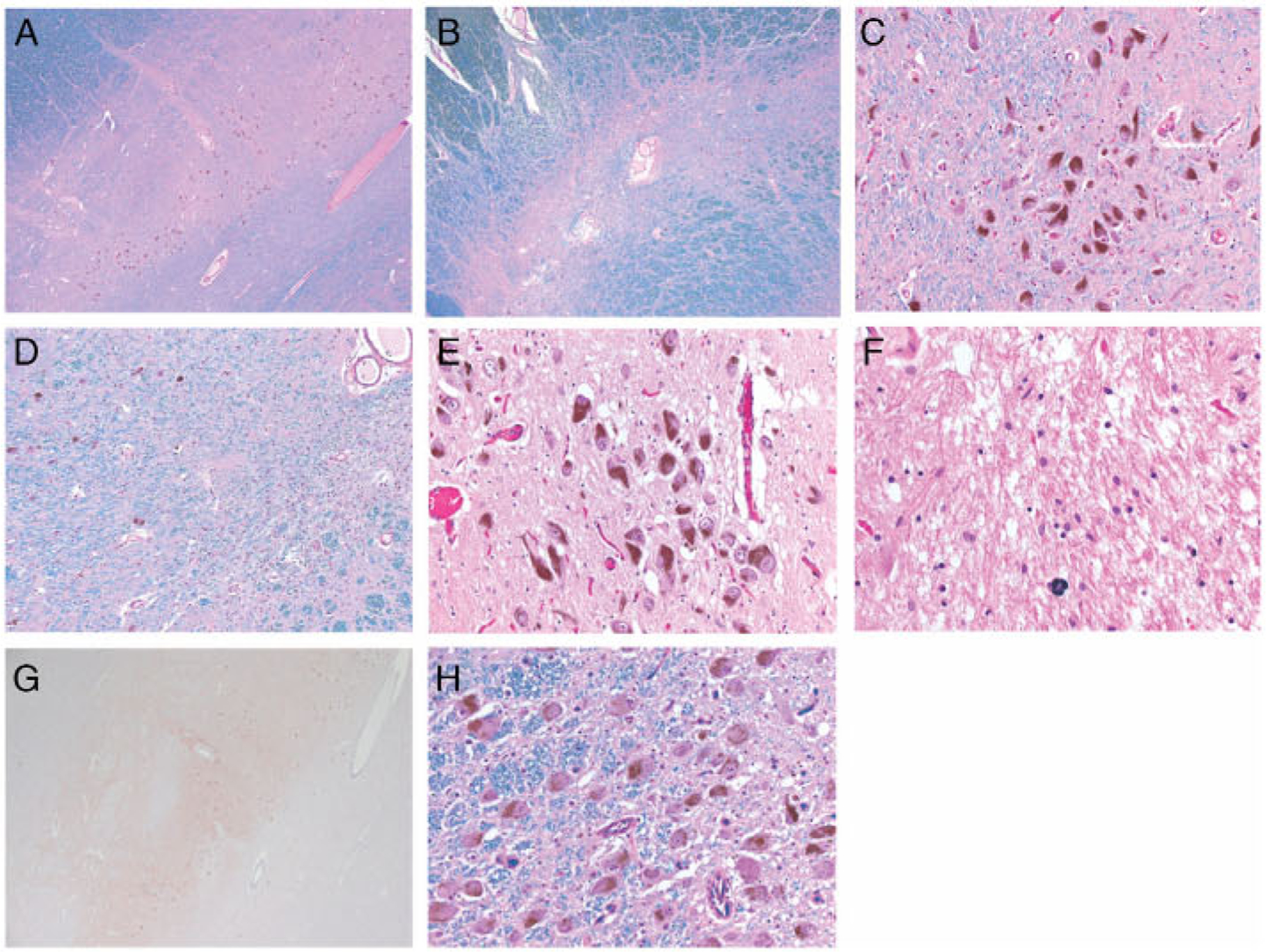 FIGURE 2: