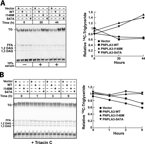 FIGURE 4.