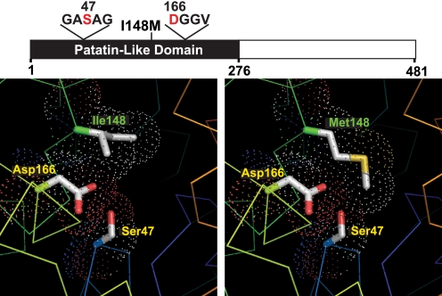 FIGURE 1.