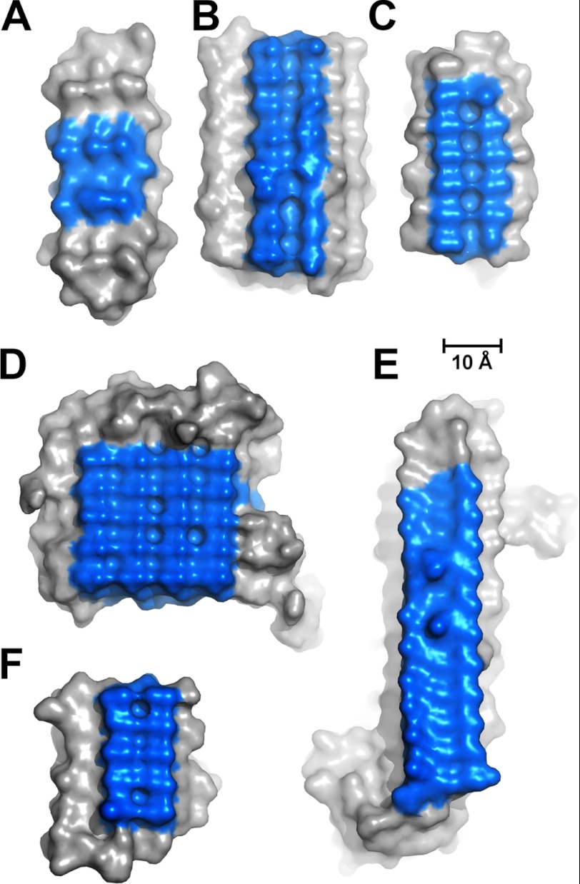 FIGURE 4.