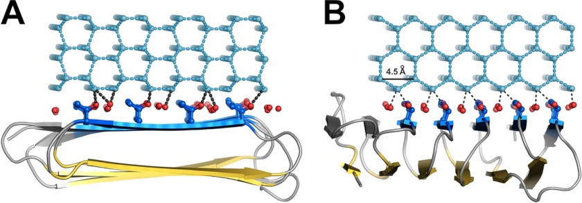 FIGURE 5.