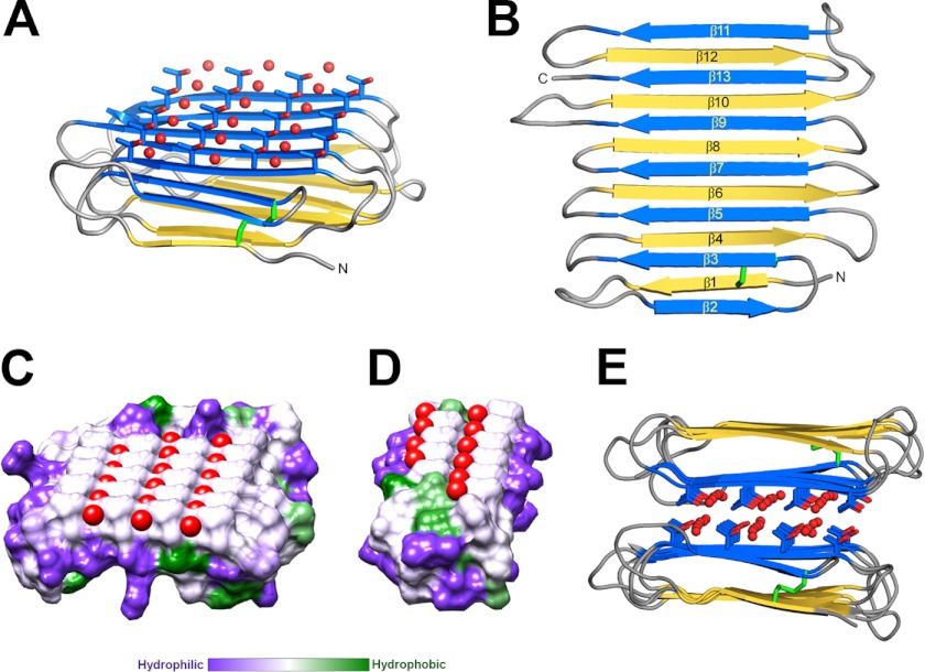 FIGURE 2.