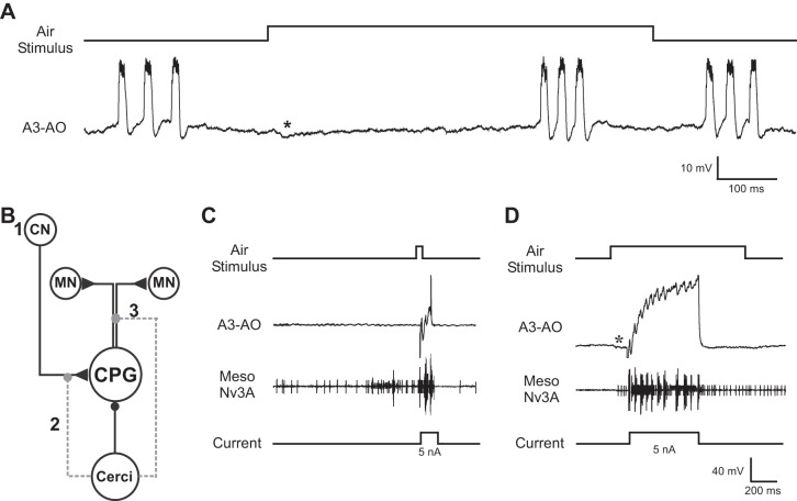 Fig. 6.