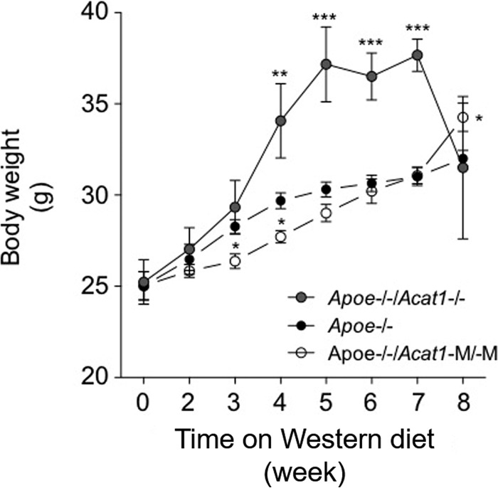 FIGURE 12.