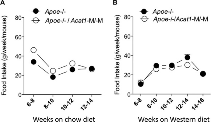 FIGURE 11.