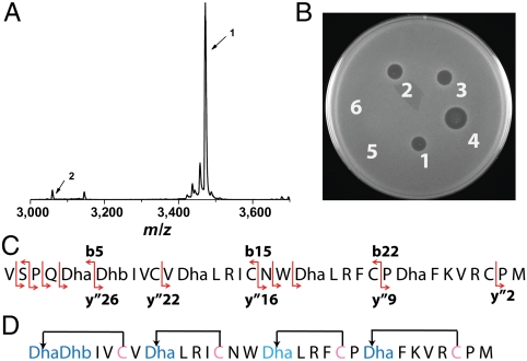 Fig. 3.