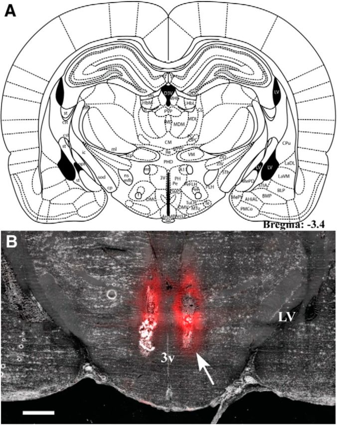 Figure 7.