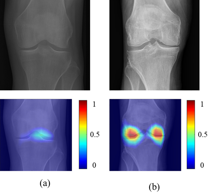 Figure 5: