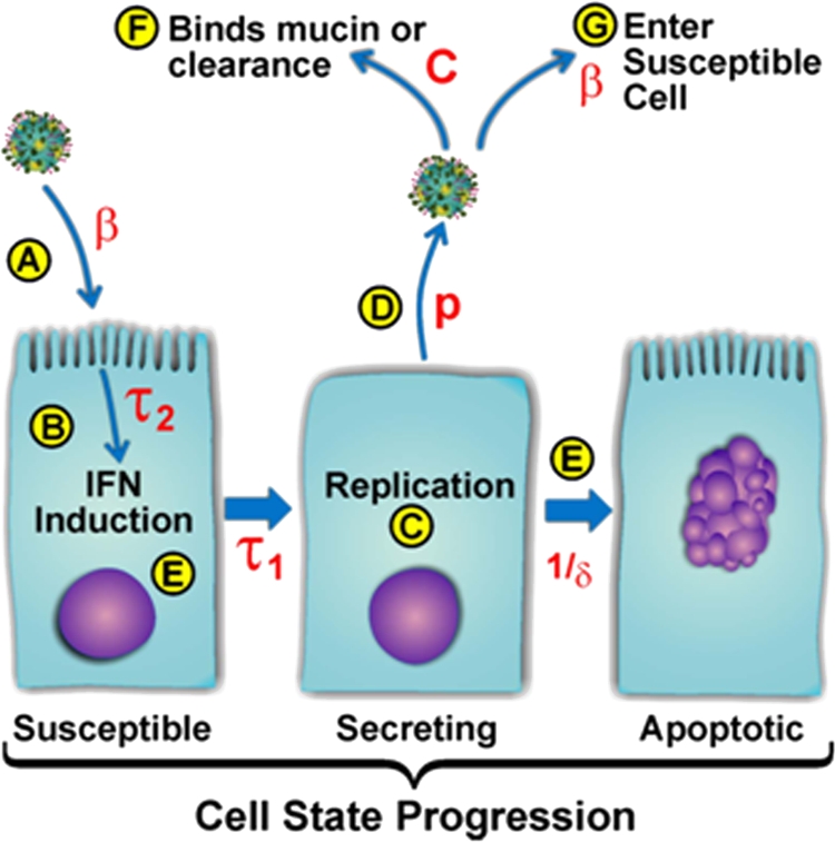 FIG. 4.