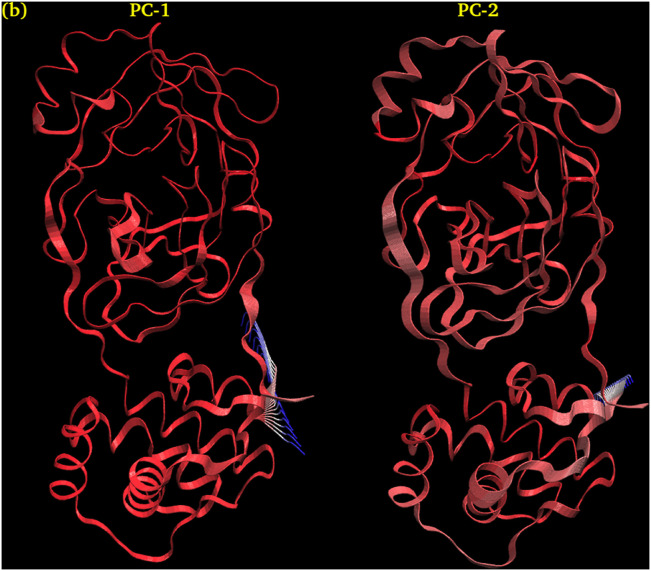 Fig. 16