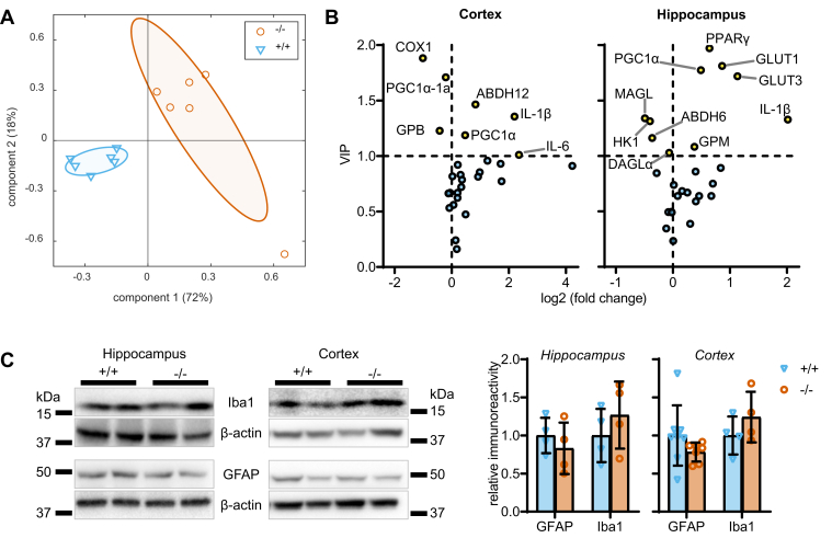 Fig. 4