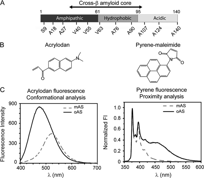 FIGURE 1.