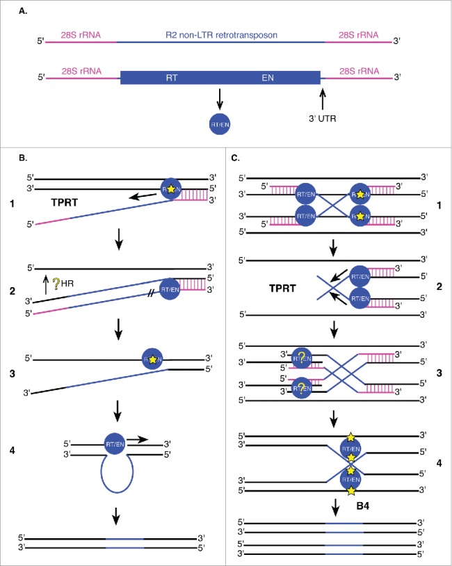 Figure 6.