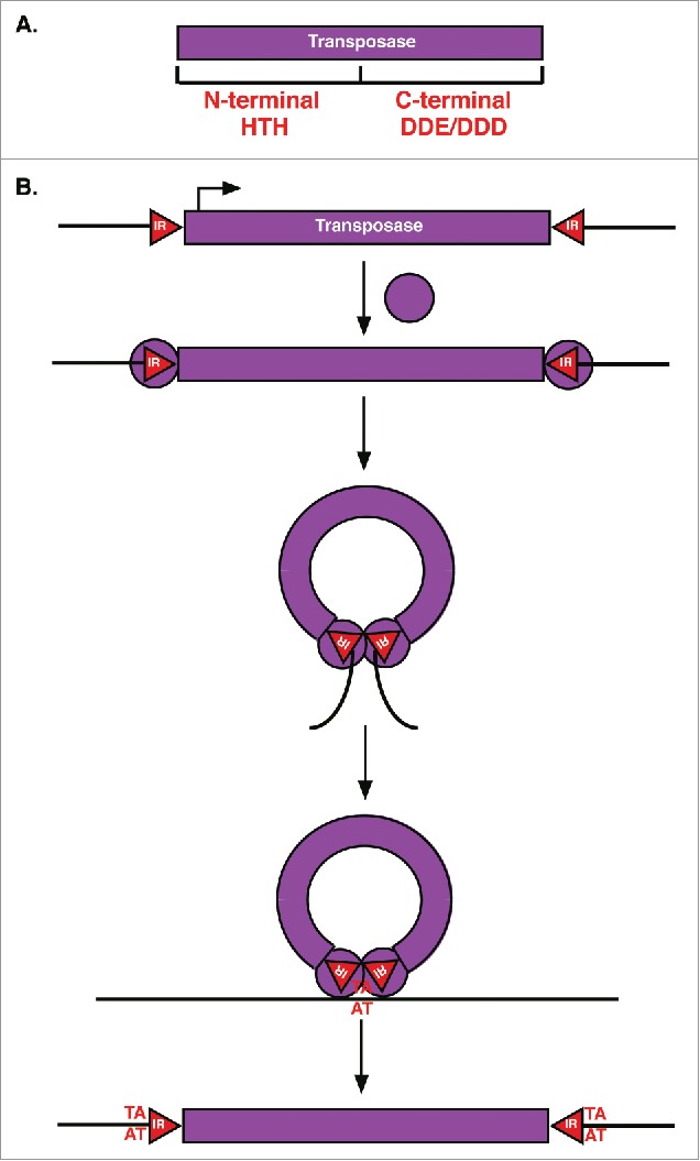 Figure 2.