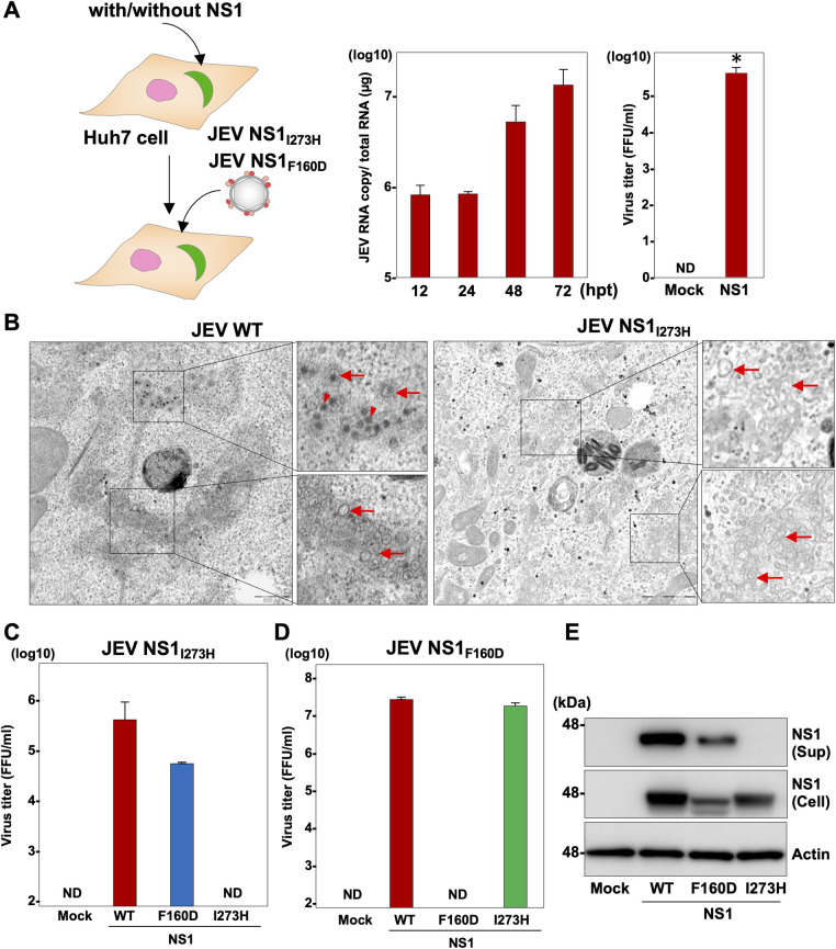 Fig 4