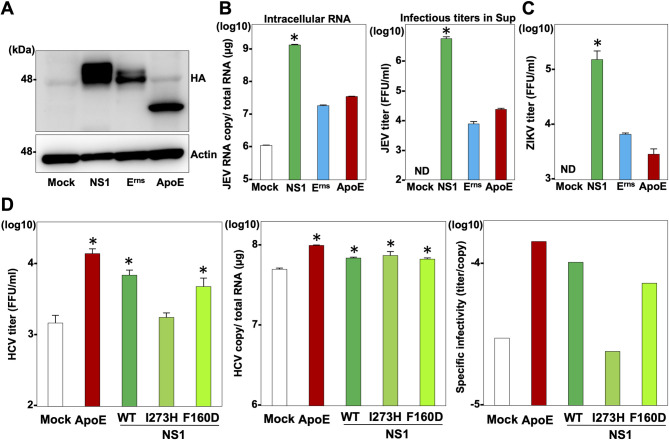 Fig 6