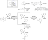 Scheme 2
