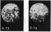 182-1