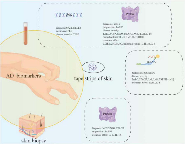 FIGURE 1