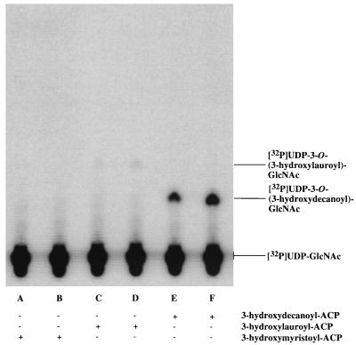 FIG. 6