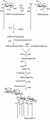 FIG. 1