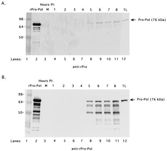 FIG. 10.