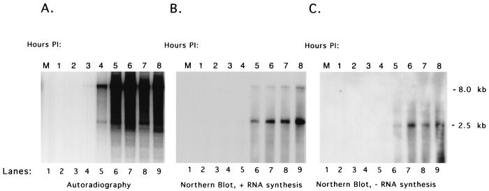 FIG. 6.