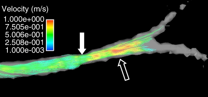 Figure 1c: