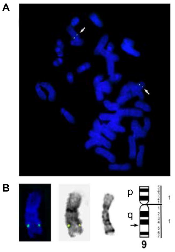 Fig. 2