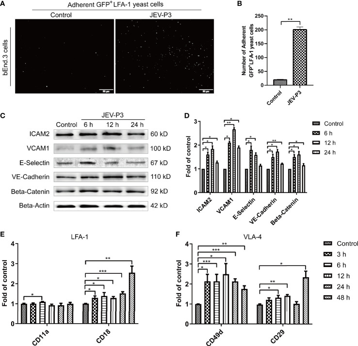 Figure 2