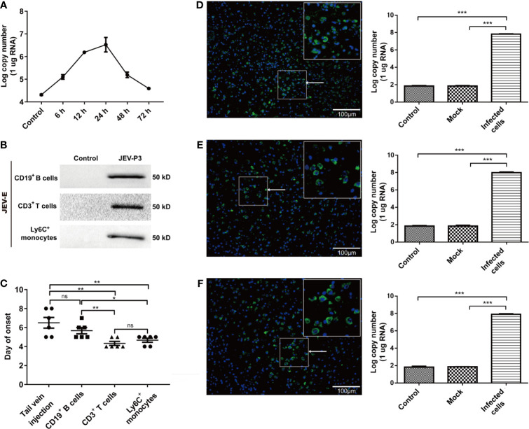 Figure 6