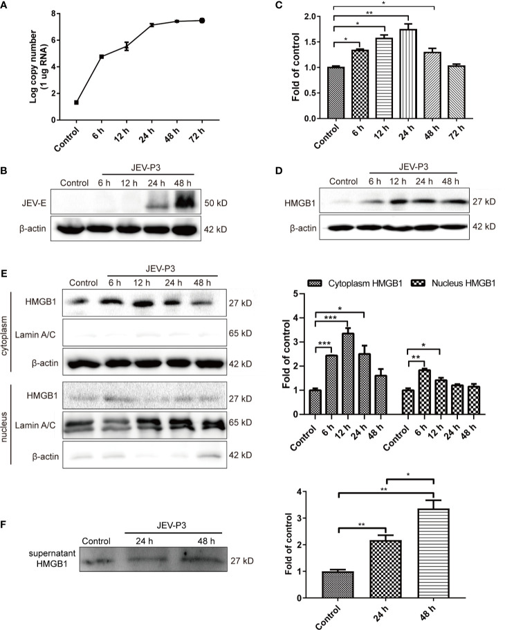 Figure 1