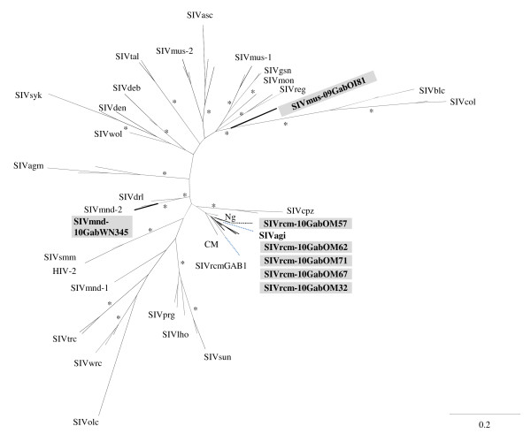 Figure 5