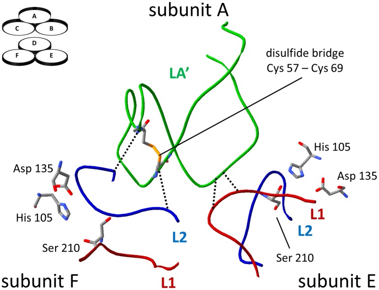 Fig 6