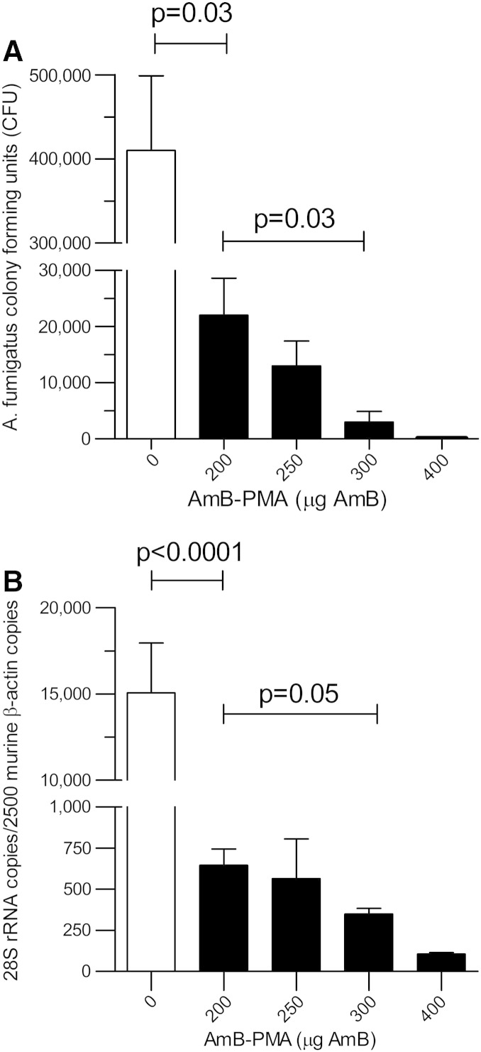 Figure 5