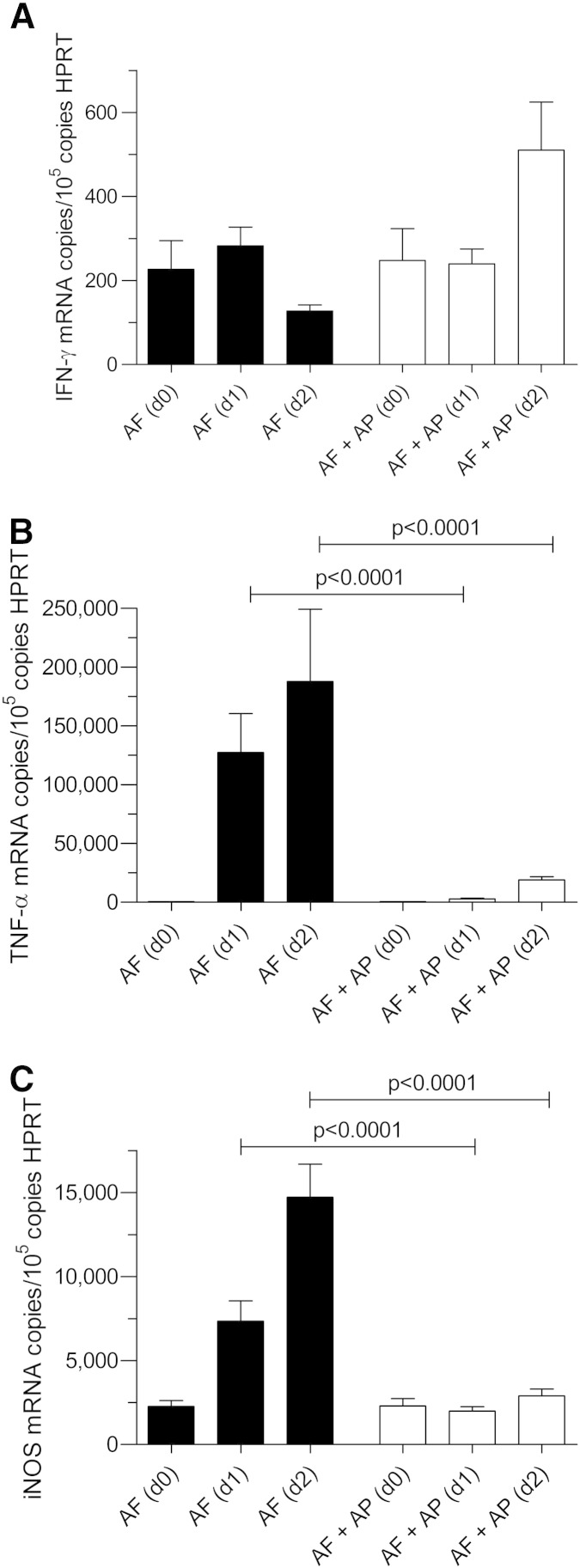 Figure 6