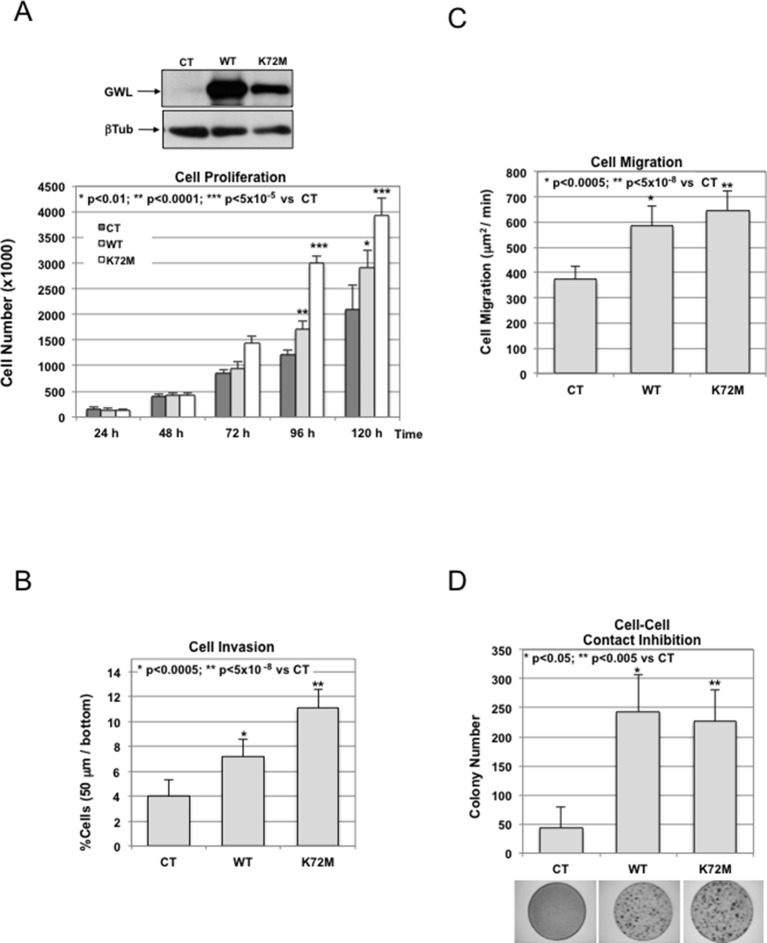 Figure 1—figure supplement 2.