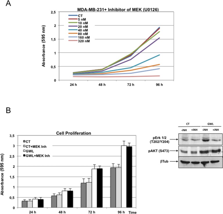 Figure 4—figure supplement 4.