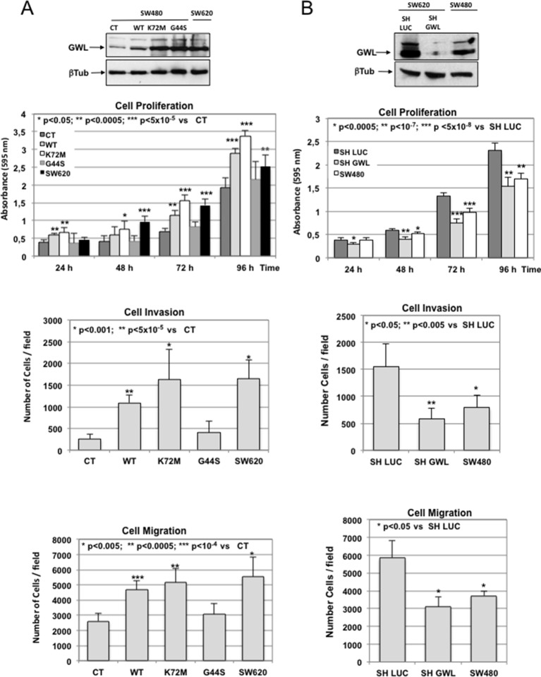 Figure 2—figure supplement 2.