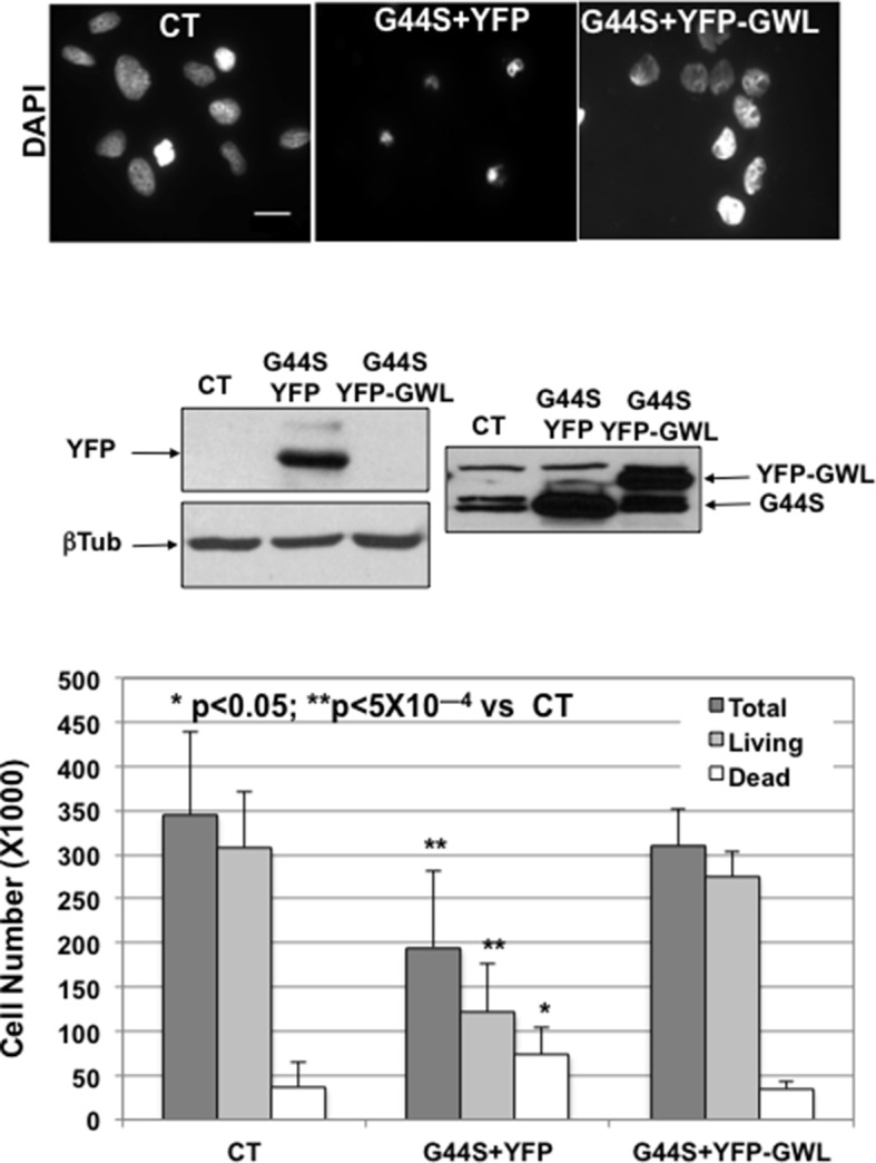 Figure 1—figure supplement 1.