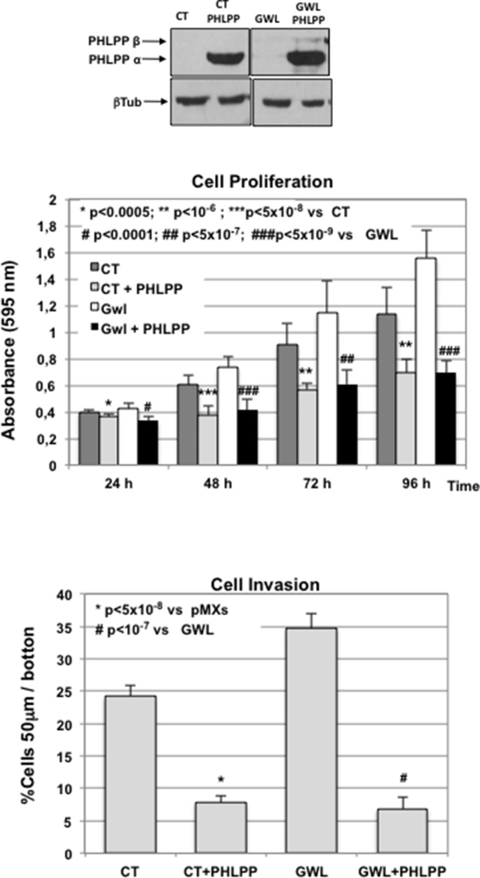 Figure 7—figure supplement 1.