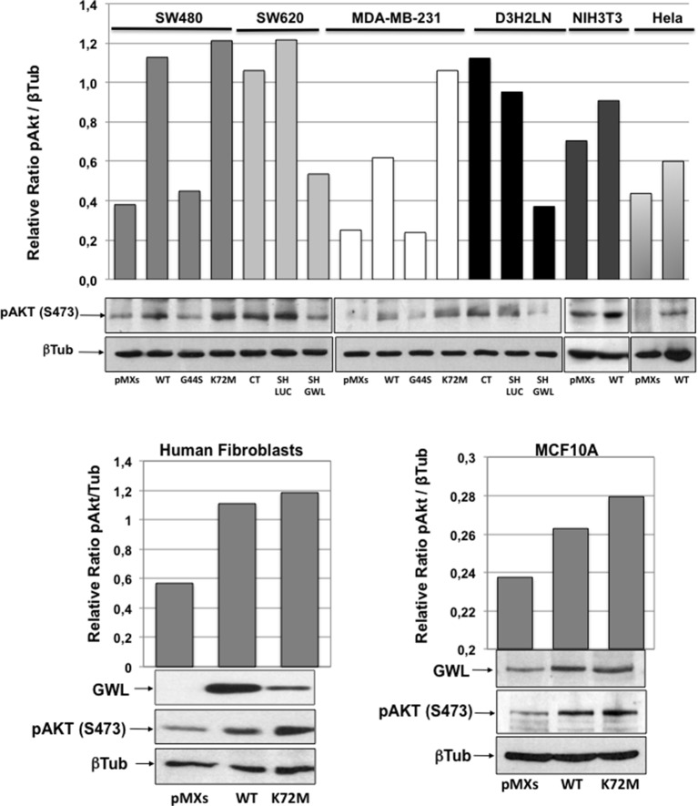 Figure 3—figure supplement 2.