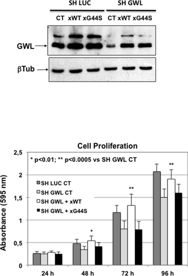 Figure 2—figure supplement 1.