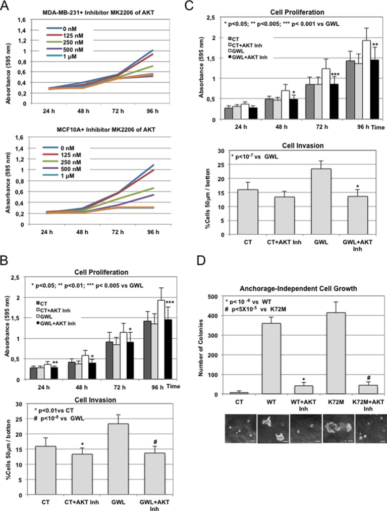 Figure 4—figure supplement 3.