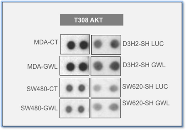 Figure 3—figure supplement 1.