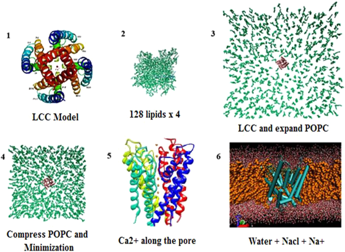 Figure 7