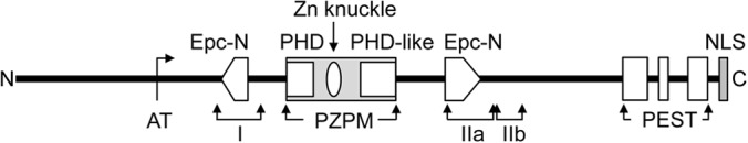 FIG 2