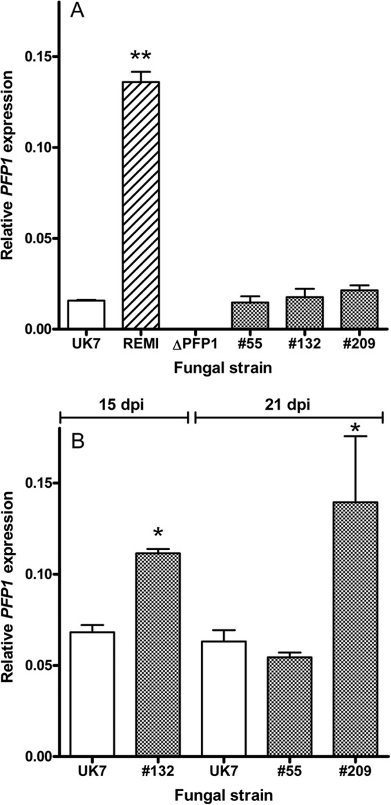 FIG 4