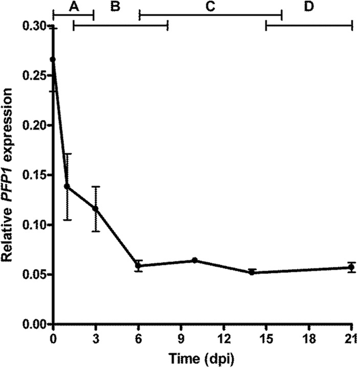 FIG 3